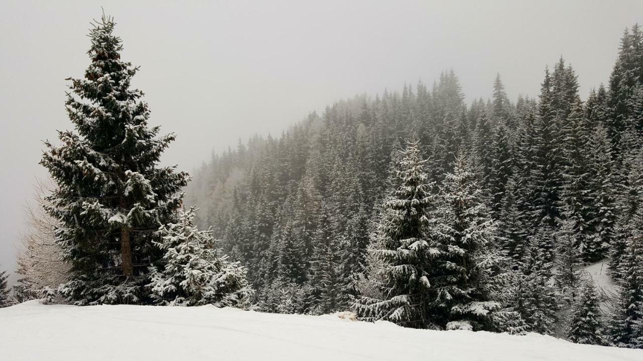 Ripsime Colina Marei Daire Sinaia Dış mekan fotoğraf